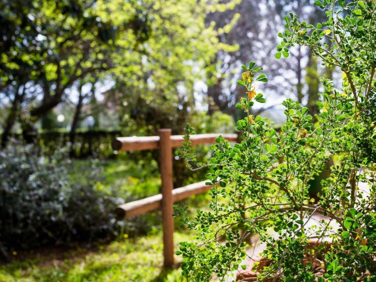 Agriturismo Alberese Sasso Rosso别墅 外观 照片